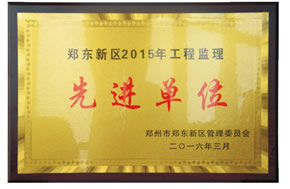 2015年郑东新区优秀监理单位